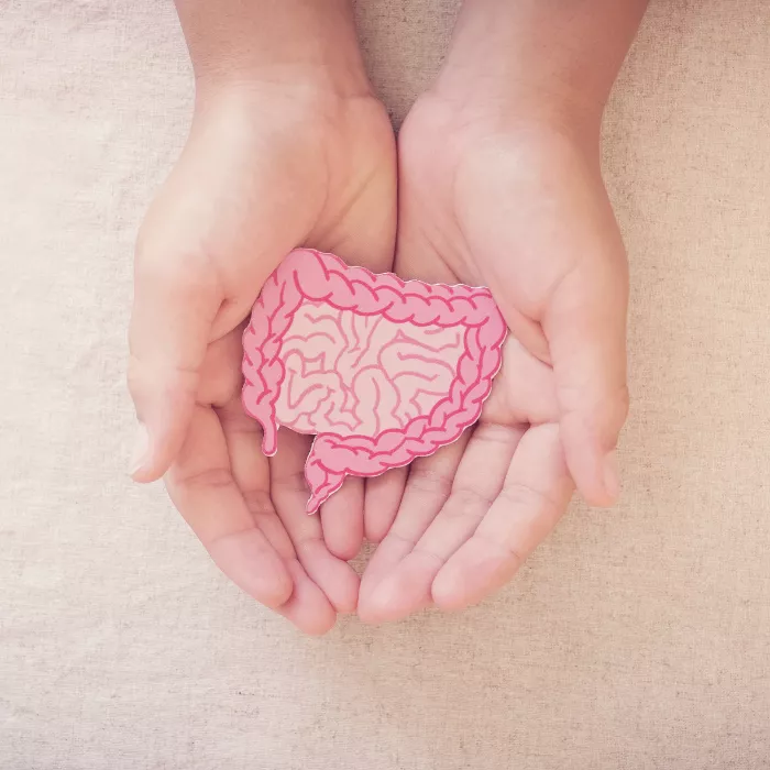 البروبيوتيك والبريبايوتكس: ما تحتاج معرفته